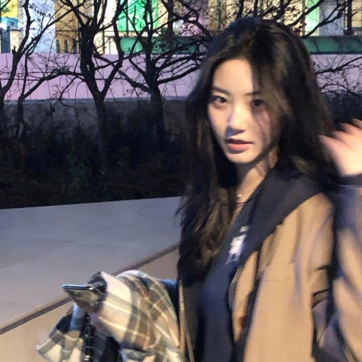 该计划